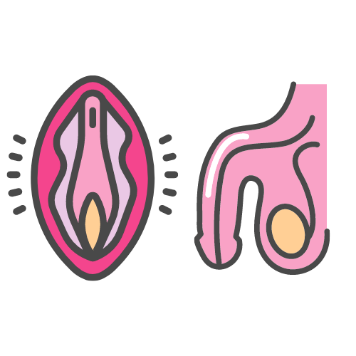 TERAPIA SEXOLÓGICA